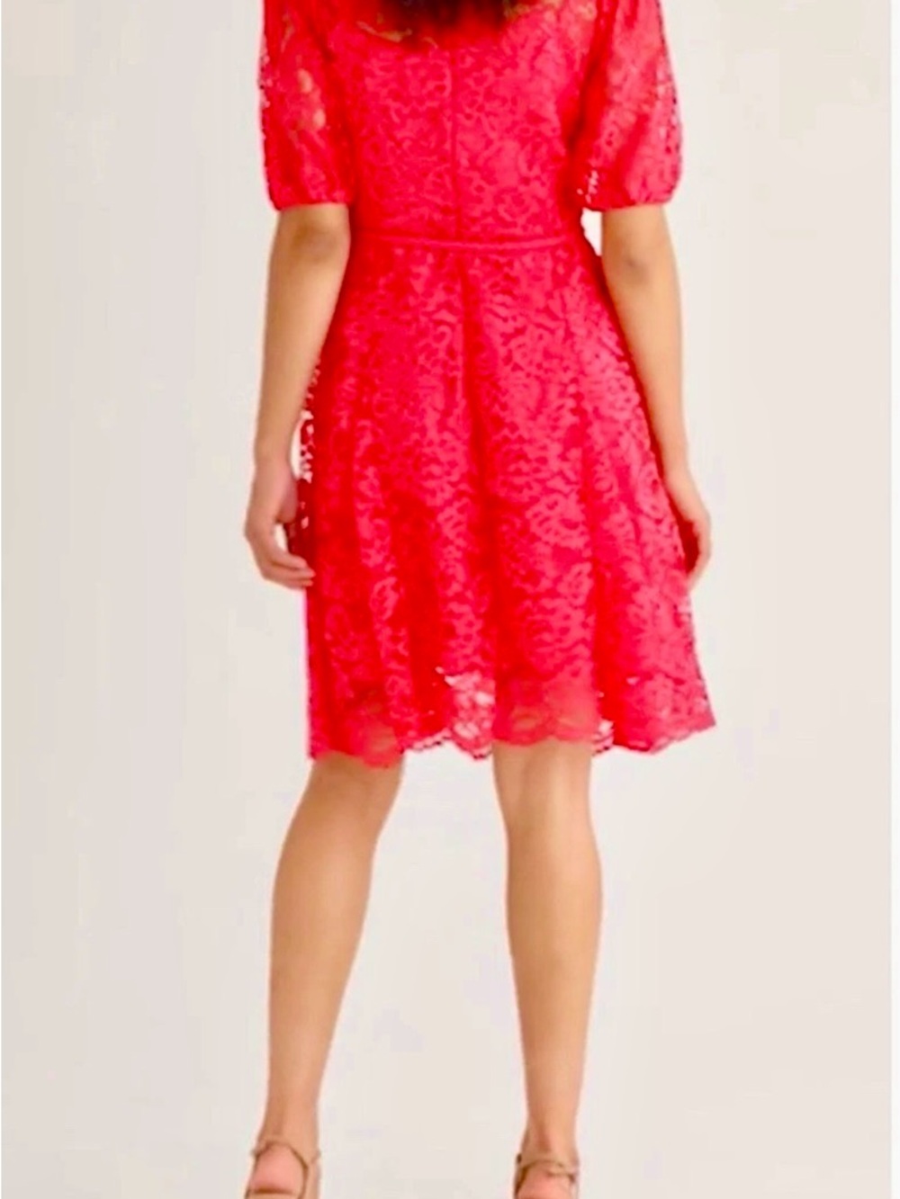 Tahari ASL Scallop Hem Raspberry Lace Fit & Flare Dress Size 10 MSRP $159 NWOT - Picture 4 of 8
